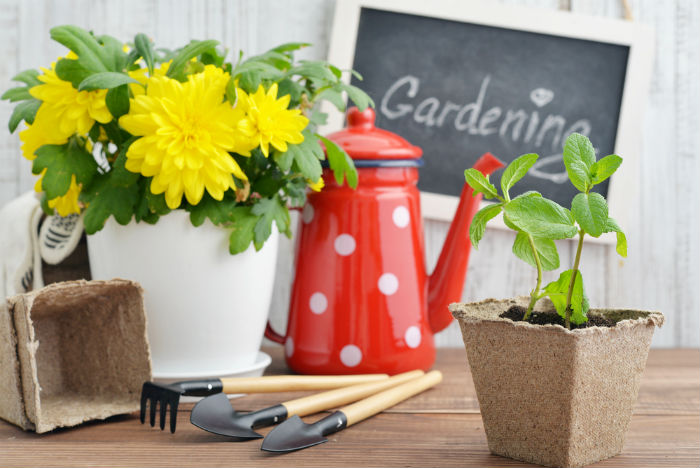 Gardening