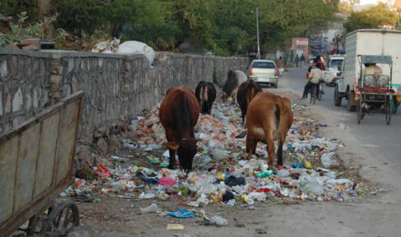 Kolkata: Littering in Public Places May Cost Citizens up to Rs 1 lakh