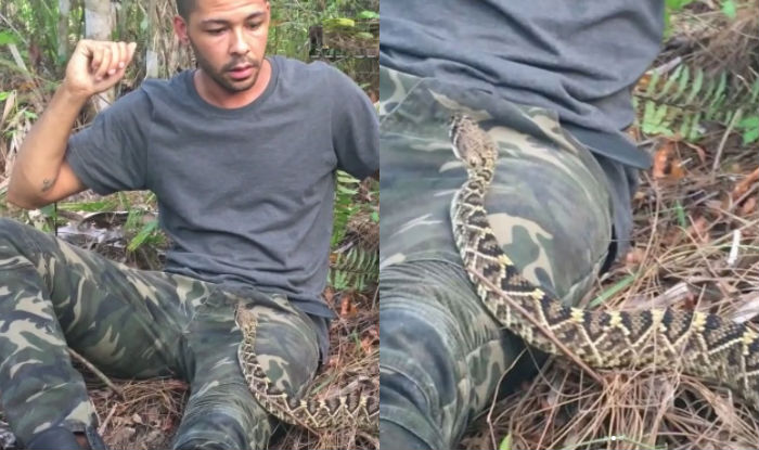 Guy cornered by venomous rattle snake reveals the best escape route! Watch  video to know how to save yourself from snake bite 