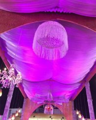 rs-2-crore-spent-rajkummars-reel-wedding-5-315x420