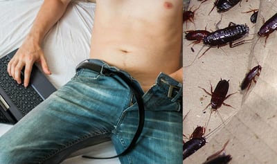 reddit males masturbating Boy's masturbation habit leads to emotional love relationship with  cockroaches!