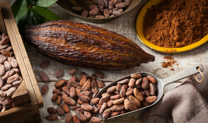 We bet you didn’t know these facts about cocoa! | India.com