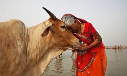 फाइल फोटो