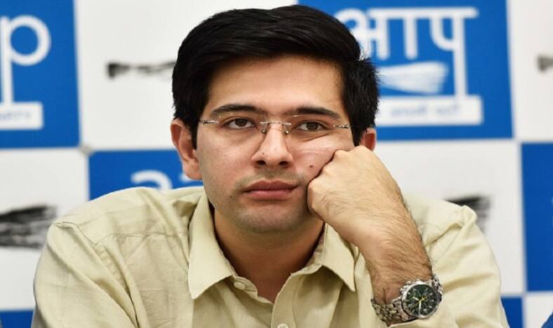 AAP's Raghav Chadha Challenges Lok Sabha Election Result of South Delhi Seat