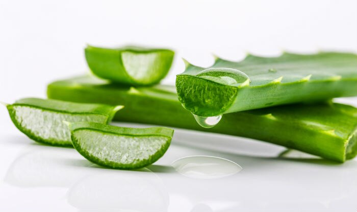 Top 7 beauty benefits of aloe vera gel: Rejuvenate your skin and hair with these aloe vera packs(2)