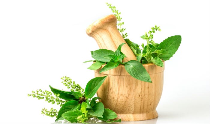 Beauty benefits of tulsi 5 ways using holy basil will give you