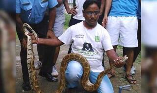 Python Rescued From Air Force Station in Delhi! Seven-Foot-Long Python's Picture Goes VIRAL!