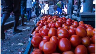 Tomato price hike jokes and memes | 100 रुपये किलो पहुंचे टमाटर के दाम, Jokes और Memes की बहार Tomato price hike jokes and memes | 100 रुपये किलो पहुंचे टमाटर के दाम, Jokes और Memes की बहार