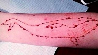 Blue Whale challenge: Bengal boy found dead, Doon kid stopped from killing self | ऑनलाईन गेम ब्लू व्हेलचा आणखी एक बळी; इयत्ता १०वीतल्या विद्यार्थ्याचा मृत्यू Blue Whale challenge: Bengal boy found dead, Doon kid stopped from killing self | ऑनलाईन गेम ब्लू व्हेलचा आणखी एक बळी; इयत्ता १०वीतल्या विद्यार्थ्याचा मृत्यू