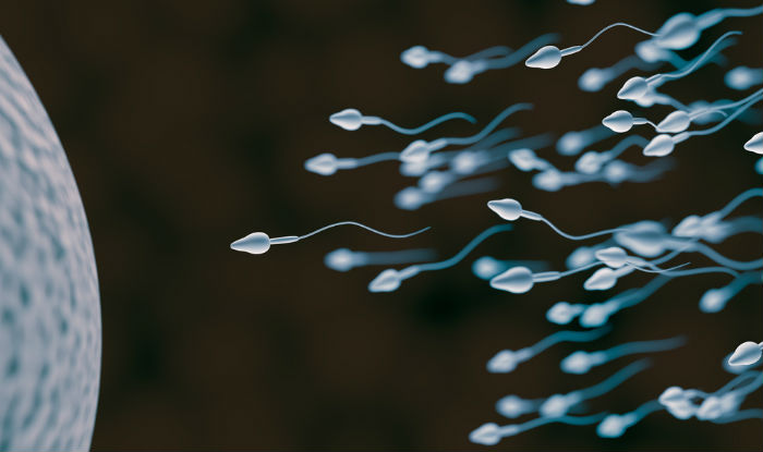 7 Surprising Things You Didnt Know About Sperm
