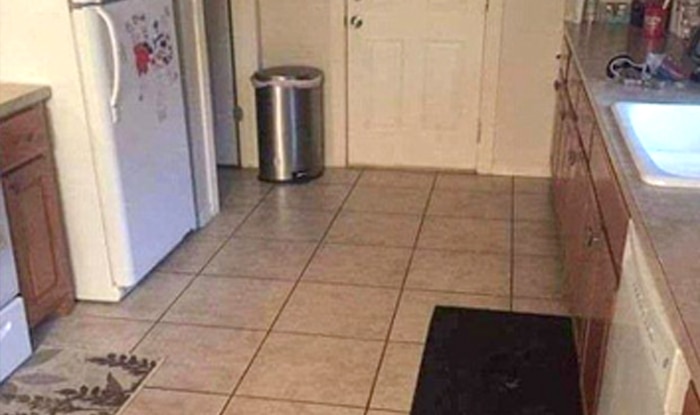 Can You Spot The Hidden Dog In The Kitchen In This Viral Photo India Com