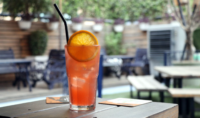 Watermelon Spritzer recipe