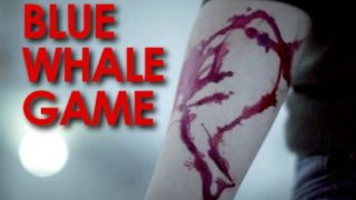 UP: Class 7 student found hanging at home, Blue Whale Challenge link suspected | ब्ल्यु व्हेलचा धोका कायम; आणखी एका मुलाने केली आत्महत्या UP: Class 7 student found hanging at home, Blue Whale Challenge link suspected | ब्ल्यु व्हेलचा धोका कायम; आणखी एका मुलाने केली आत्महत्या