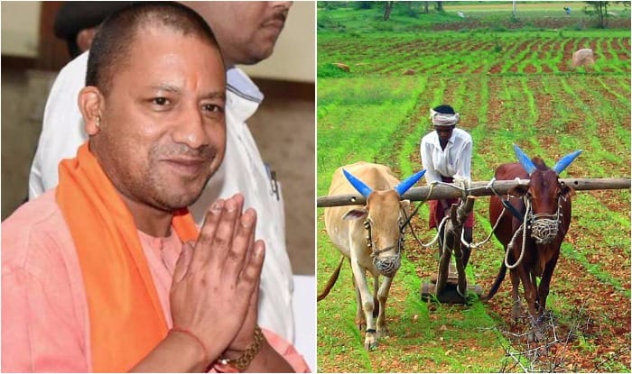 UP: CM Yogi to distribute loan waiver certificates to farmers on August ...