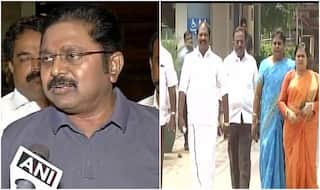 AIADMK Turmoil: Dinakaran Faction MLAs Meet EC, Move Madras HC to Conduct Floor Test in Tamil Nadu