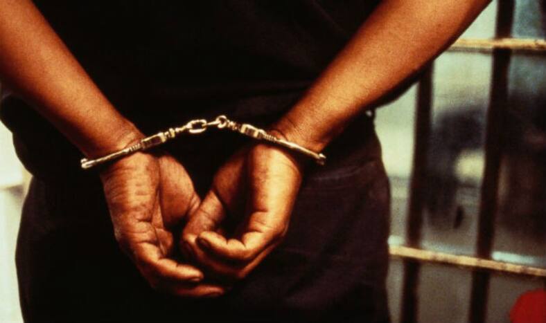 Bank Fraud Case: Absconding Industrialist Vinay Mittal Extradited from Indonesia to India