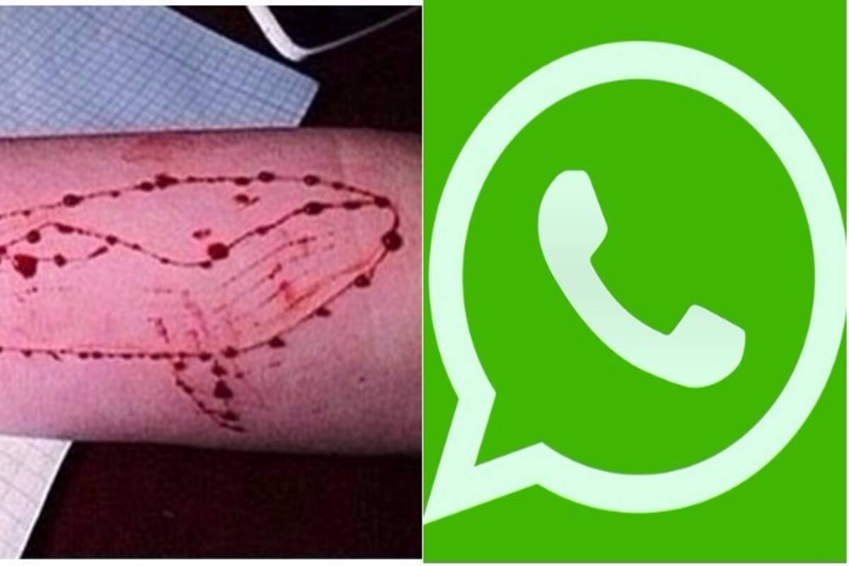 Blue Whale Link Forwarded on WhatsApp in Lucknow, School Demands Teachers  to Monitor Over Suicide Game | India.com