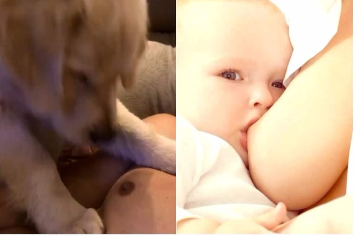 Why a Puppy Sucking Man's Nipple is 'Cute' but Women Breastfeeding Child in  Public is Controversial? This Video Raises an Important Question 
