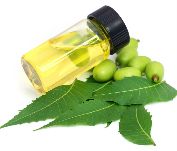 Beauty Benefits of Neem: How to Use Neem for Healthy and Dandruff-Free Hair  