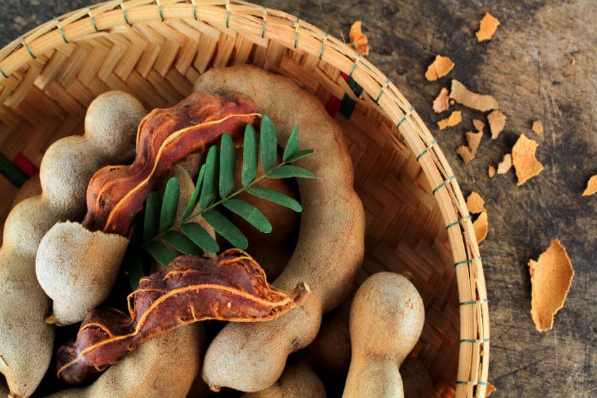 Health Benefits Of Tamarind Here Are 5 Amazing Benefits Of Tamarind For Good Health India Com Health Benefits Of Tamarind Here Are 5 Amazing Benefits Of Tamarind For Good Health India Com