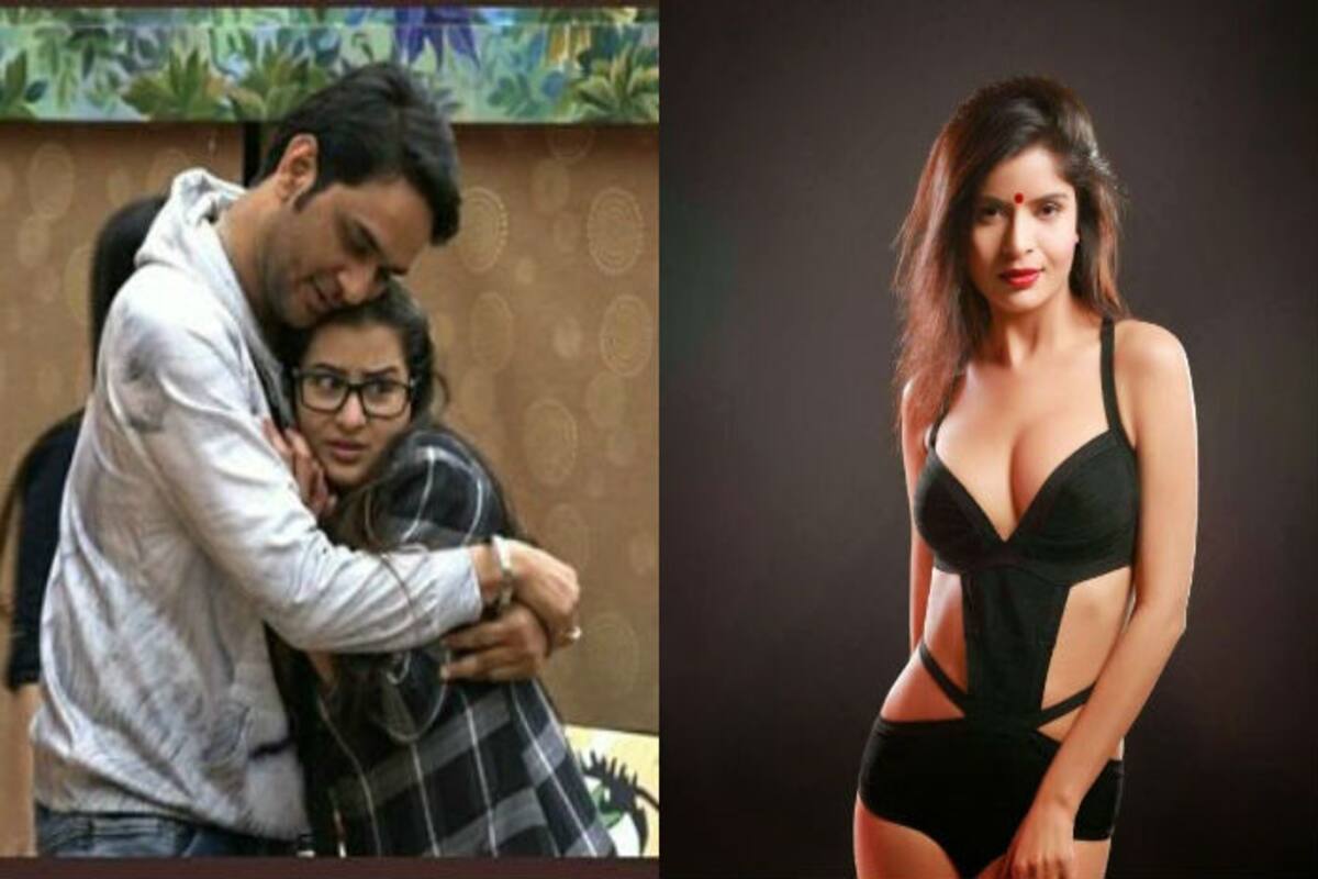 Bigg Boss 11 Contestants Vikas Gupta and Shilpa Shinde Were in Sexual  Relationship, Claims Actress Gehana Vasisth | India.com