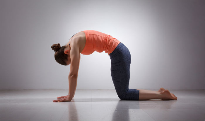 Fit Woman Doing Yoga Exercise Called Cat Pose, Sanskrit Name: Viralasana,  Isolated Over White Background Stock Photo, Picture and Royalty Free Image.  Image 7159343.