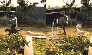 MS Dhoni Training His Dogs Zoya and Lily in This Viral Video is Simply Wow
