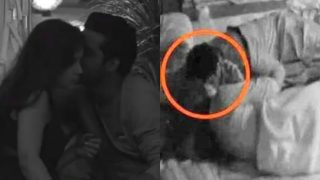 Puneesh Sharma Wants Bandagi Kalra Naked in Bed: Bigg Boss 11 Contestants Join List of Couples Who Got Intimate on Camera Puneesh Sharma Wants Bandagi Kalra Naked in Bed: Bigg Boss 11 Contestants Join List of Couples Who Got Intimate on Camera