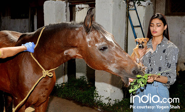 athiya-shetty-visit-animal-shelter-on-her-birthday.-pics-yogen-shah-(32)