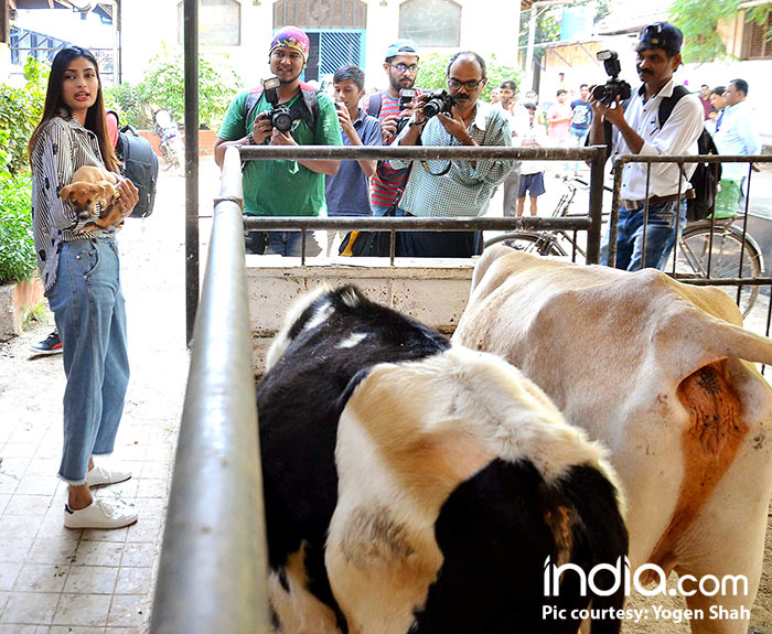 athiya-shetty-visit-animal-shelter-on-her-birthday.-pics-yogen-shah-(36)