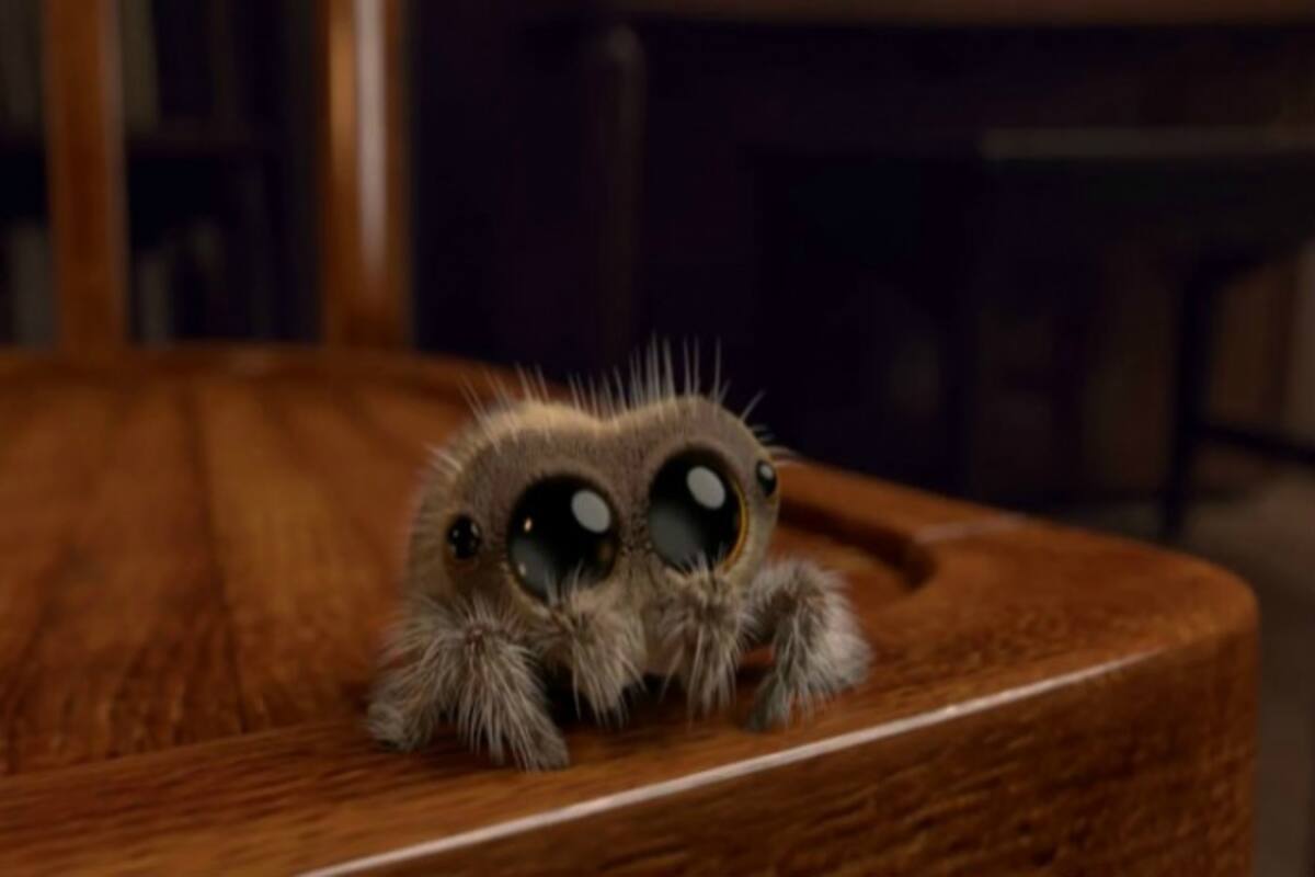 Lucas,The Most Adorable Animated Spider, Might Be The Cure To Your Arachnophobia! Lucas,The Most Adorable Animated Spider, Might Be The Cure To Your Arachnophobia!
