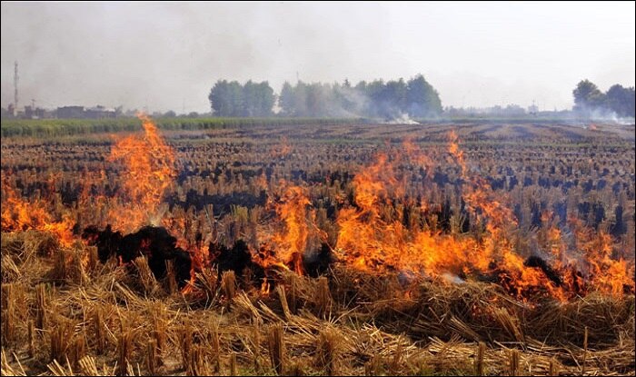 Delhi's High COVID Death Rate Due to Stubble Burning, Downtrend Expected in 2-3 Weeks: Satyender Jain