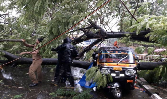 Cyclone Ockhi: Schools Closed In Several Districts Of Tamil Nadu, Death ...