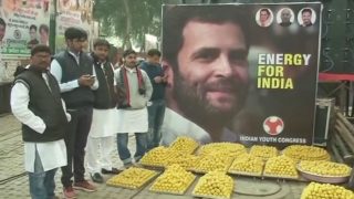 Sweets, Live Band: Celebrations at Congress Headquarters as Rahul Gandhi Takes Charge of Party Sweets, Live Band: Celebrations at Congress Headquarters as Rahul Gandhi Takes Charge of Party