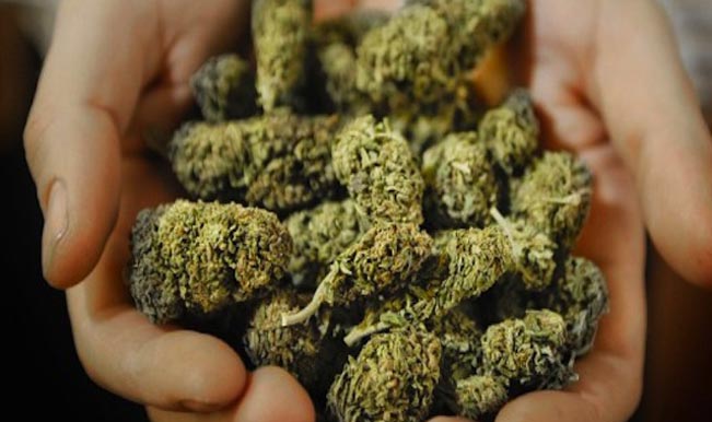 First Case of 'Edible Weed' Unearthed in India: NCB Raids Mumbai Bakery, Finds Marijuana Cakes; 3 Arrested