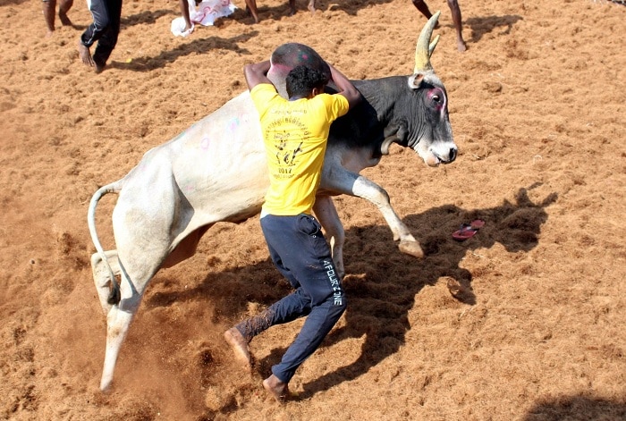 1219e06ad40cc275e016ce52b2e80475