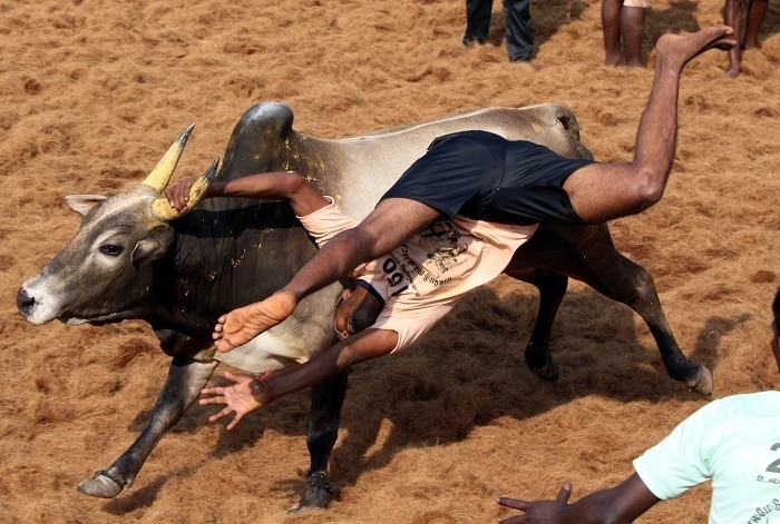 29abd3badb31da791af9cf2ab90d56ee