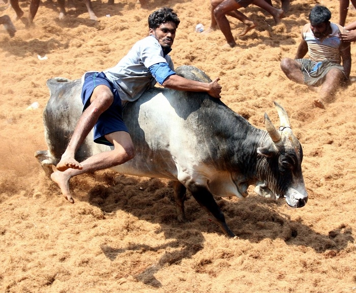 56bb821ee40ff50d903c58e9898e7702