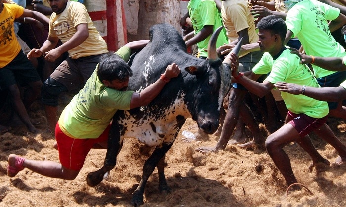 5932ac8a058592f5810cad9be14e6c59