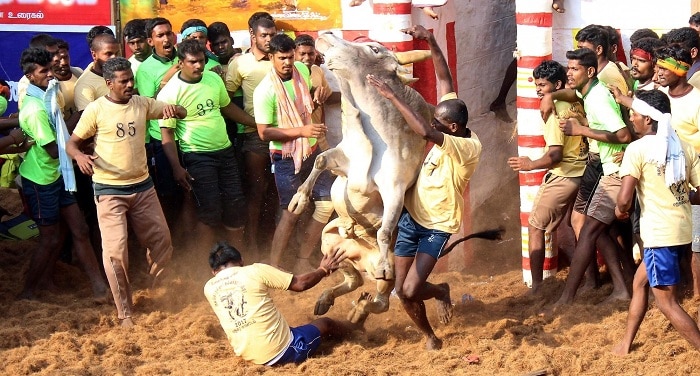 714d73e2a26e9c541e5a880708ab41df