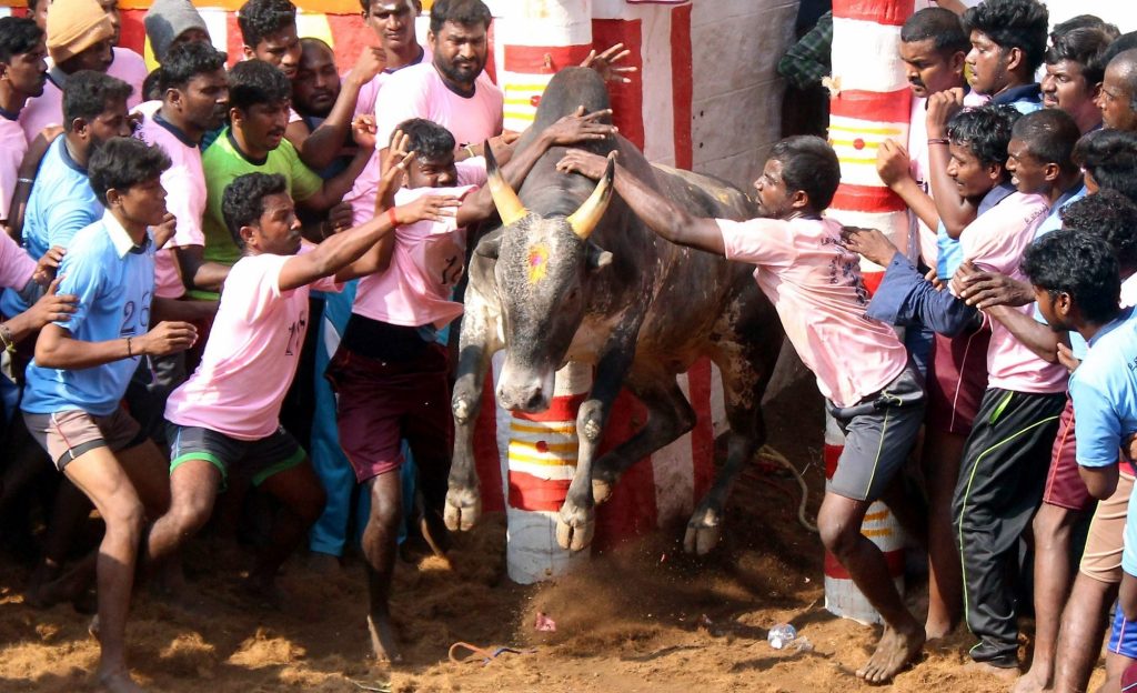 e4e4360c4c4e5f33b919151ca492930d