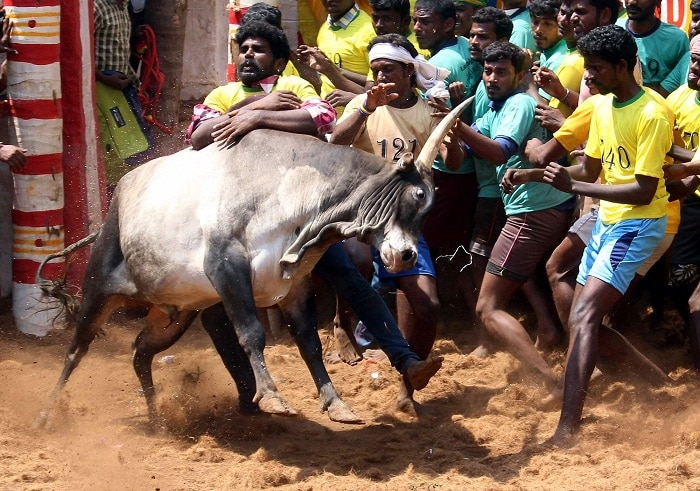 e896bf7c13fff71f7c9c97e599261f69