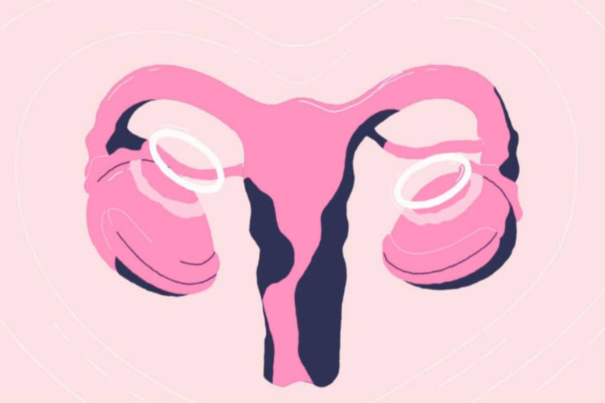 1200px x 800px - PornHub's 'F**k Your Period' Campaign Offers Free Premium Access to Women  on Period | India.com