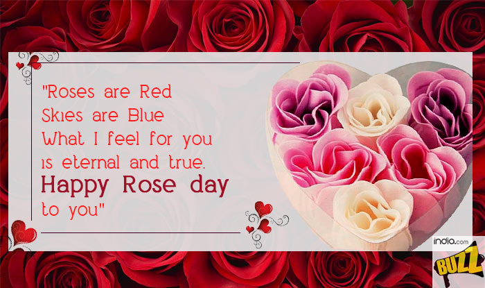 Rose-Day-3