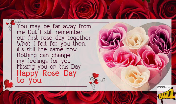 Rose-Day-4