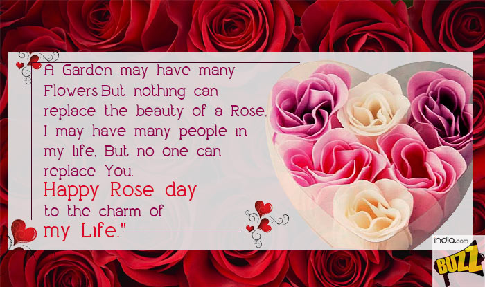 Rose-Day-5