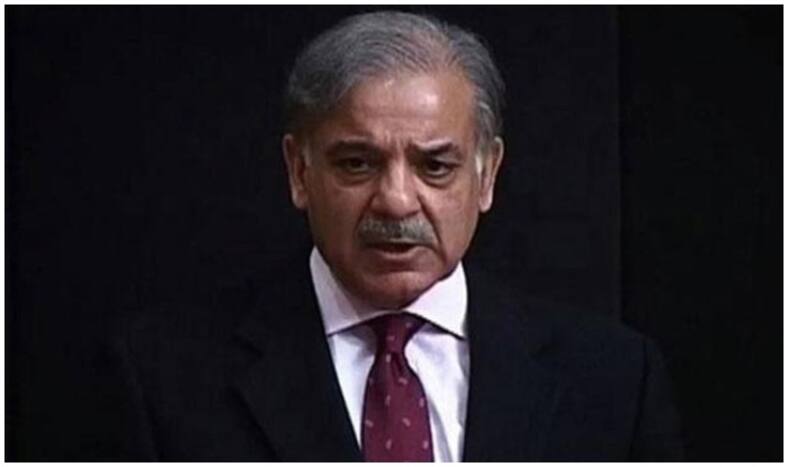 nawaz-sharif younger brother shahbaz can become pm n president | पूर्व प्रधानमंत्री नवाज के भाई शाहबाज शरीफ होंगे PML-N के अध्यक्ष
