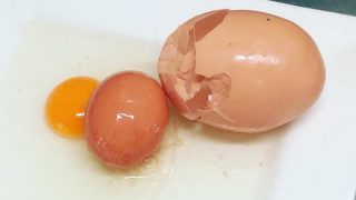 Queensland Farmer Cracks Open Giant Egg With Another Egg Inside, Baffles Experts Queensland Farmer Cracks Open Giant Egg With Another Egg Inside, Baffles Experts