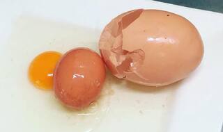 Queensland Farmer Cracks Open Giant Egg With Another Egg Inside, Baffles Experts