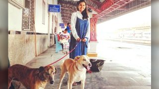 A Freelance Journalist Travelling Across The Country With Her Two Pet Dogs, Have A Look On Their Journey A Freelance Journalist Travelling Across The Country With Her Two Pet Dogs, Have A Look On Their Journey